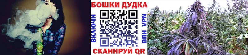 Лсд 25 Кинешма