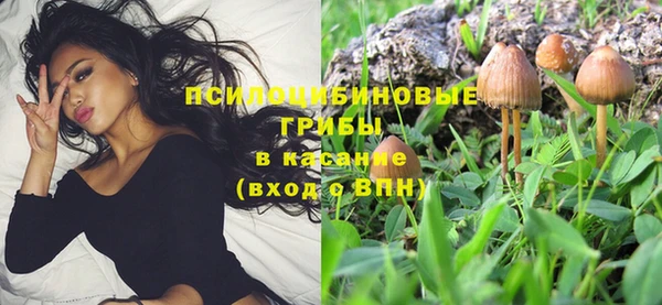 2c-b Абдулино